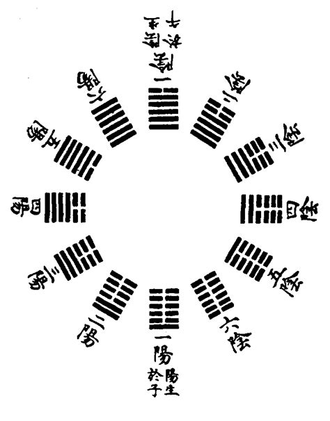 臥室淨化空氣植物 爻 meaning